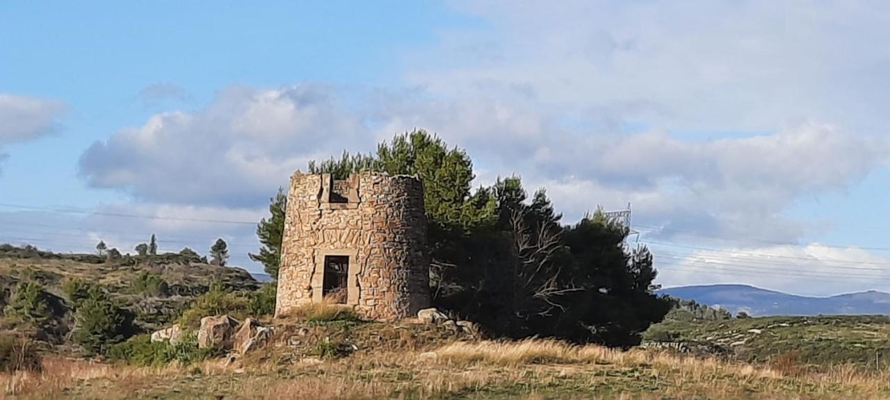Le Coq Du Nord - Mailhac Gite Et Chambres D'Hotes Exterior foto