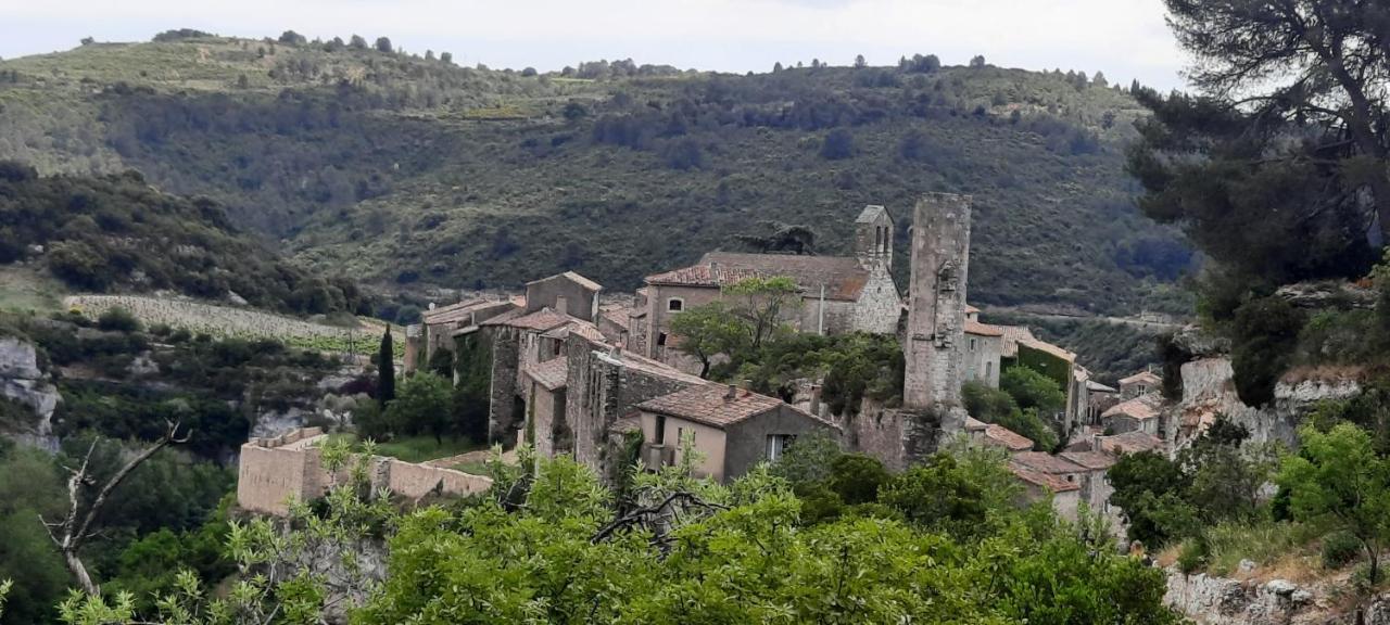 Le Coq Du Nord - Mailhac Gite Et Chambres D'Hotes Exterior foto